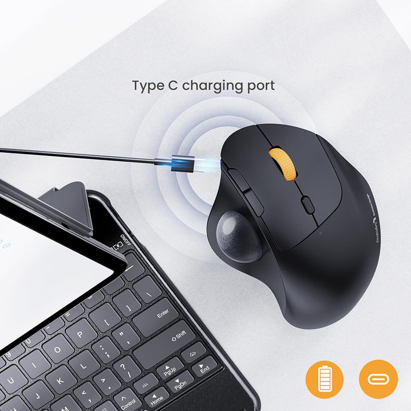 Ergonomic Mouse Trackball Thumb - เมาส์แทร็กบอลไร้สาย ProtoArc, EM04 เมาส์ควบคุมนิ้วหัวแม่มือแบบโรลเลอร์บอลบลูทูธตามหลักสรีรศาสตร์แบบชาร์จได้สำหรับคอมพิวเตอร์แล็ปท็อป